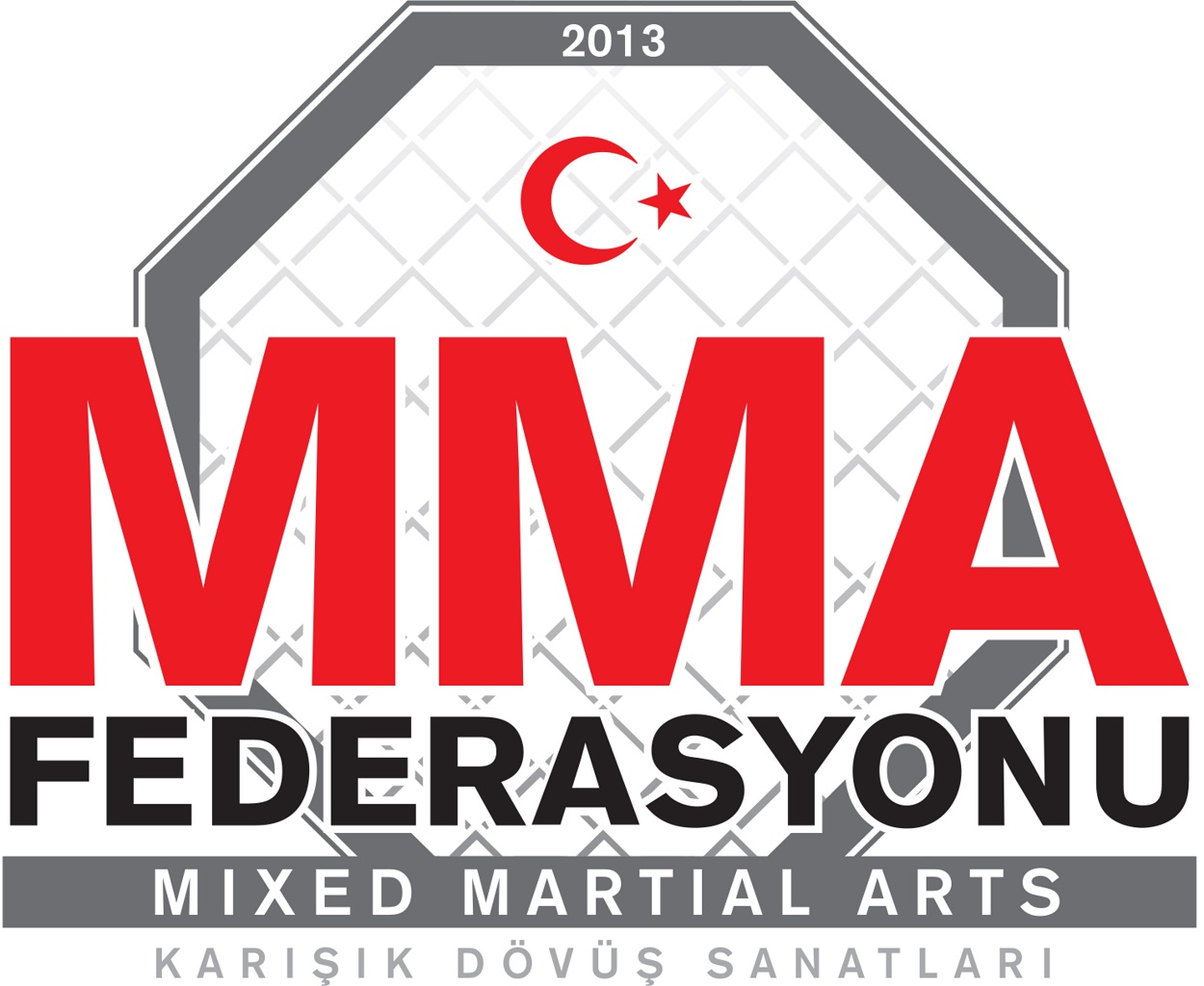 KARTAL Şubemizde MMA Derslerimiz Başladı KARTAL Şubemizde MMA Derslerimiz Başladı
