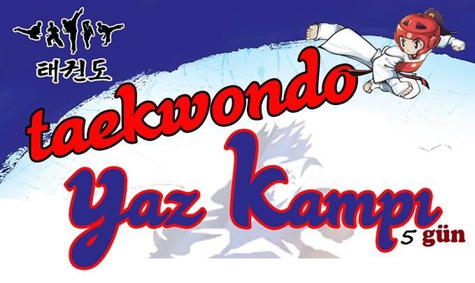 Taekwondo Yaz Kampı Taekwondo Yaz Kampı