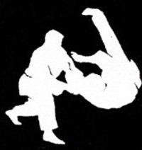 Hapkido Hapkido
